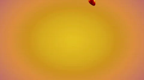 Falling rose petals Stock-Footage 310747