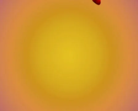 Falling rose petals Video stock 310752