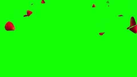Falling rose petals with green screen background Видео 123816245