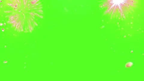 Falling rose petals on green screen. Floral confetti overlay for romantic video Video stock 340943615
