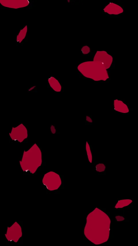 Falling rose petals loop animation video overlay with red flower elements Stock Footage 347942449