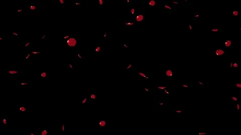 Falling rose petals Loop isolated with an alpha channel Stock Footage 255659239