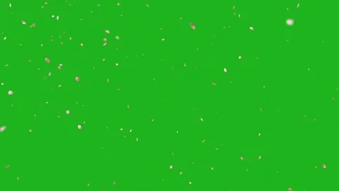 Falling rose petals motion graphics with green screen background Stock Footage 133174303