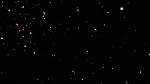 Falling rose petals motion graphics with night background Stock Footage 135734891