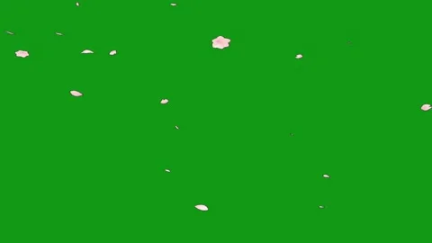 Falling rose petals motion graphics with green screen background Stock Footage 139027426