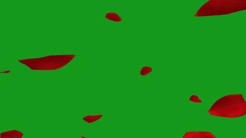 Falling rose petals motion graphics with green screen background Stock Footage 139083780