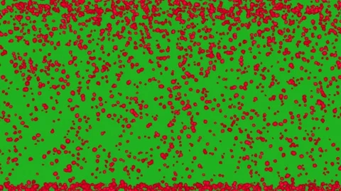 Falling rose petals motion graphics with green screen background Stock Footage 158940409
