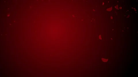 Falling rose petals on red background Stock Footage 72356995