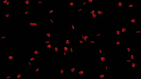 Falling Rose Petals Red HD Animation Stock Footage 237982847