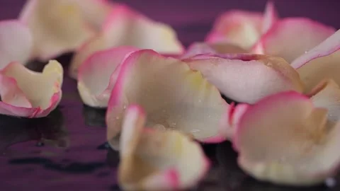 Falling rose petals splash onto the water in slow motion, scattering drople.. 스톡 동영상 300262488