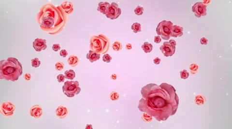 Falling Roses Background Stock Footage 38567494