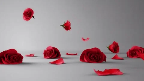 Falling Roses on grey background Vídeos de archivo 249606031
