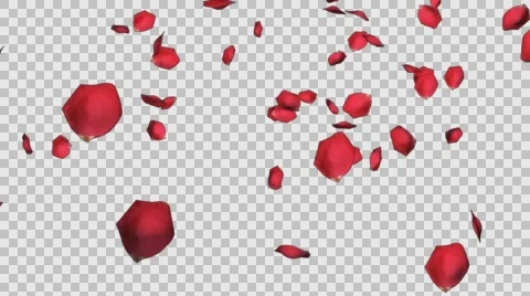 Falling roses petals alpha channel Stock Footage 69022381