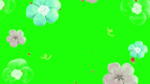 Falling Sakura Cherry Blossom Flowers Animation on Green Screen Chroma Key Stock Footage 336662561