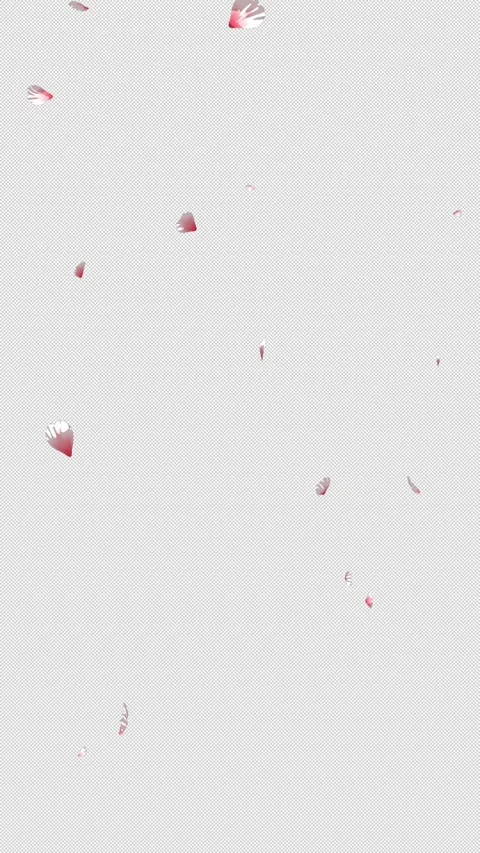 Falling Sakura Petals Overlay on Transparent Background - Cherry Blossom Animati Stock Footage 335808036