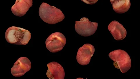 Falling Saturn Peaches on Black Background (Looping) Vídeos de archivo 95099115
