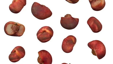 Falling Saturn Peaches on White Background (Looping) Vídeos de archivo 95099230