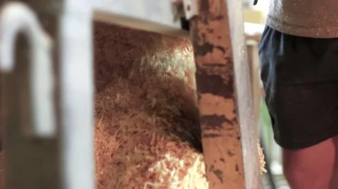 The falling sawdust under the machine Stockbeeldmateriaal 66445865