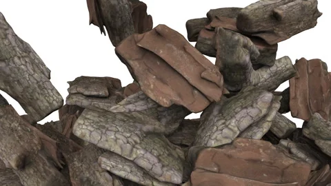 Falling sea ​​shell on white background. Video stock 285388941