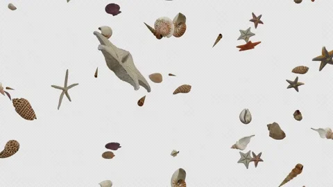 Falling Seashells Starfish Loop Animation Overlay for Beach and Ocean Edits Stock Footage 340916949