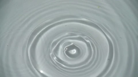 Falling of segments of a lemon. Slow motion. Stock-Footage 135591504