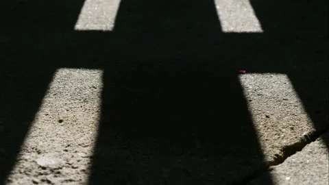 Falling shadow from the fence, time-lapse. Stock Footage 154705277