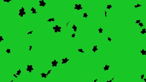 Falling silhouette cherry flowers motion graphics with plain black background Stock Footage 328137354