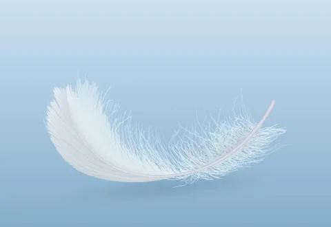 Falling single white feather realistic vector Stock Illustration