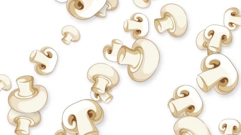Falling Sliced White Button Mushrooms Animation on White Background Stock Footage 343471834