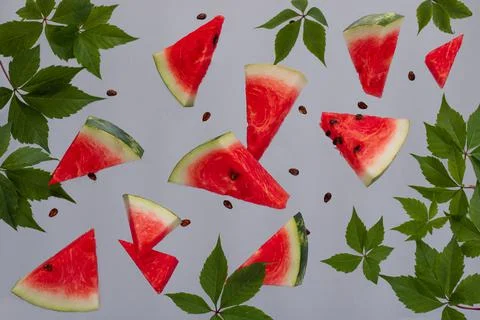 Falling slices of watermelon. Stock Photos