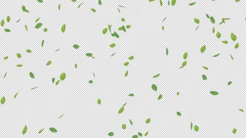 Falling Small Green Leaves - Alpha Channel - Loop Stock Footage 149758756