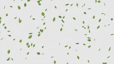 Falling Small Green Leaves - Alpha Channel Stock Footage 149758808