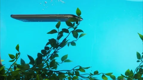 Falling smartphone at bottom of ocean close-up, waterproof gadget sinking Stock Footage 156670324