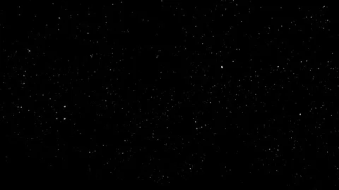 Falling Snow 005B + Alpha | turbulence - mid dense - camera low angle Video stock 127656137