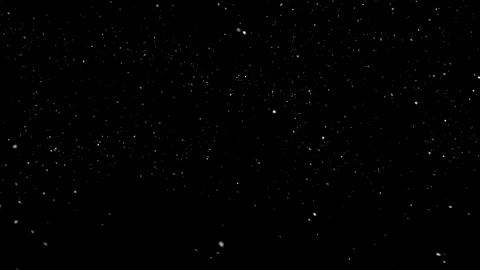 Falling Snow 010A + Alpha | gusts - mid dense - camera horizontal Video stock 127655376