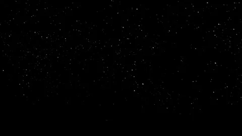 Falling Snow 020B + Alpha | gusts - mid dense - camera low angle Video stock 127655468