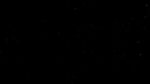 Falling Snow 022B + Alpha | slightly turbulent - low dense - camera low angle Video stock 127656079