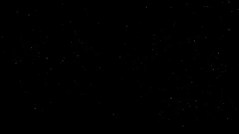 Falling Snow 024B + Alpha | gusts - low dense - camera low angle Video stock 127655960