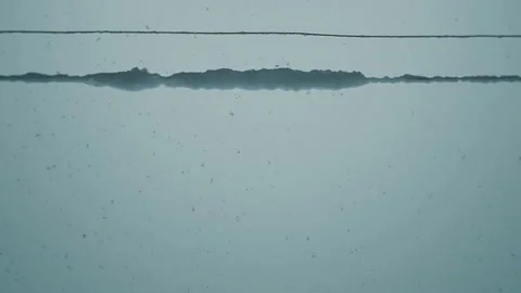 Falling Snow #1 - Graded - 4K Stock Footage 145886401