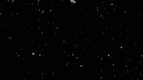 Falling Snow #10 - Black Sky - 4K Stock Footage 145920299