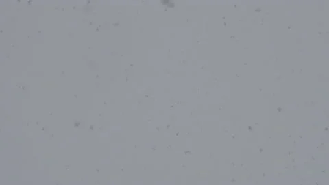 Falling Snow #10 - Sony S-Log3 Ungraded - 4K Stock Footage 145921791