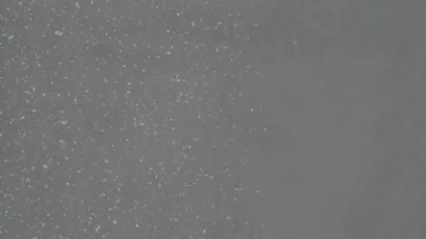 Falling Snow #11 - Sony S-Log3 Ungraded - 4K Stock Footage 145962629