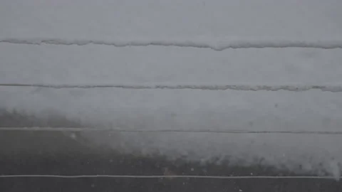 Falling Snow #4 - Sony S-Log3 Ungraded - 4K Stock Footage 145886413