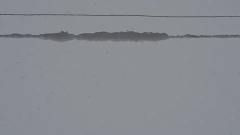 Falling Snow #5 - Sony S-Log3 Ungraded - 4K Stock Footage 145888387