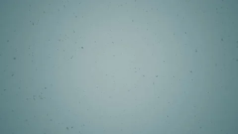 Falling Snow #6 - Graded - 4K Stock Footage 145888412