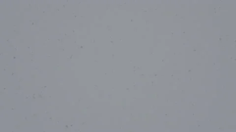 Falling Snow #6 - Sony S-Log3 Ungraded - 4K Stock Footage 145888416