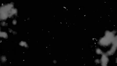 Falling Snow #7 - Black Sky - 4K Stock Footage 145917033