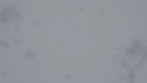 Falling Snow #7 - Sony S-Log3 Ungraded - 4K Stock Footage 145918686