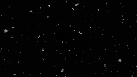 Falling Snow #8 - Black Sky - 4K Stock Footage 145917199