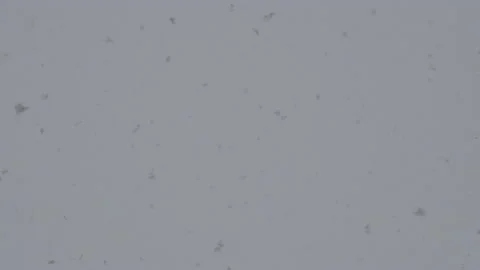 Falling Snow #9 - Sony S-Log3 Ungraded - 4K Stock Footage 145920723